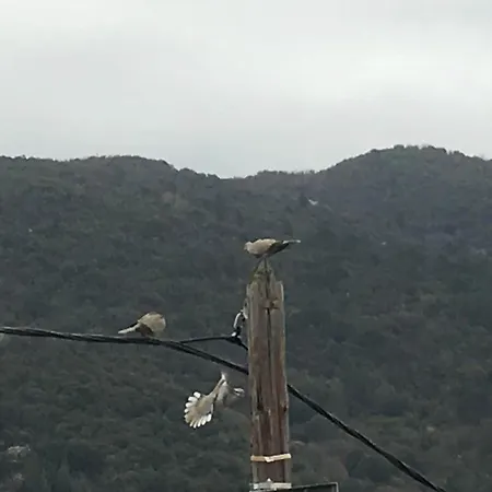 Cocon Cosy En Cévennes